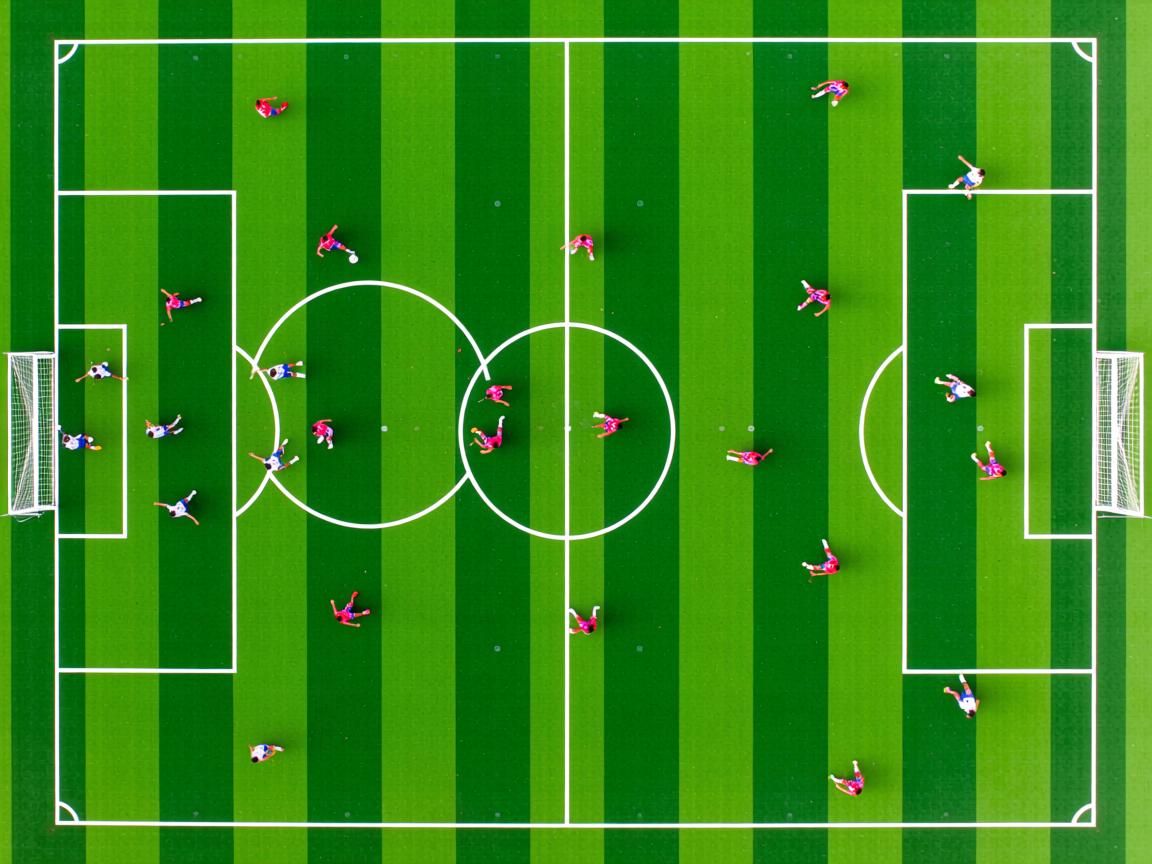 米兰体育网页版-外教引入缺少行为规范与价值匹配标准  第3张